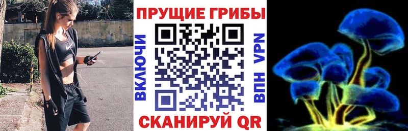 Псилоцибиновые грибы GOLDEN TEACHER  что такое наркотик  hydra зеркало  Лесной 
